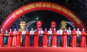 Vĩnh Long khai trương tuyến phố đi bộ tại dự án T&T Group