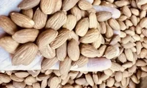 5 loại hạt tốt cho mắt của trẻ 5 loại hạt tốt cho mắt của trẻ