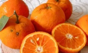 12 thực phẩm giúp hạ huyết áp tự nhiên 12 thực phẩm giúp hạ huyết áp tự nhiên