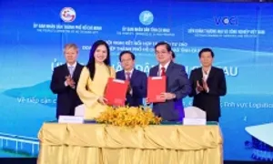 T&T Group muốn đầu tư loạt dự án chiến lược tại Cà Mau